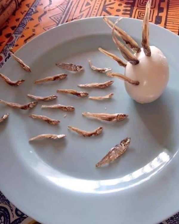 菜名我都想好了，生命的起源