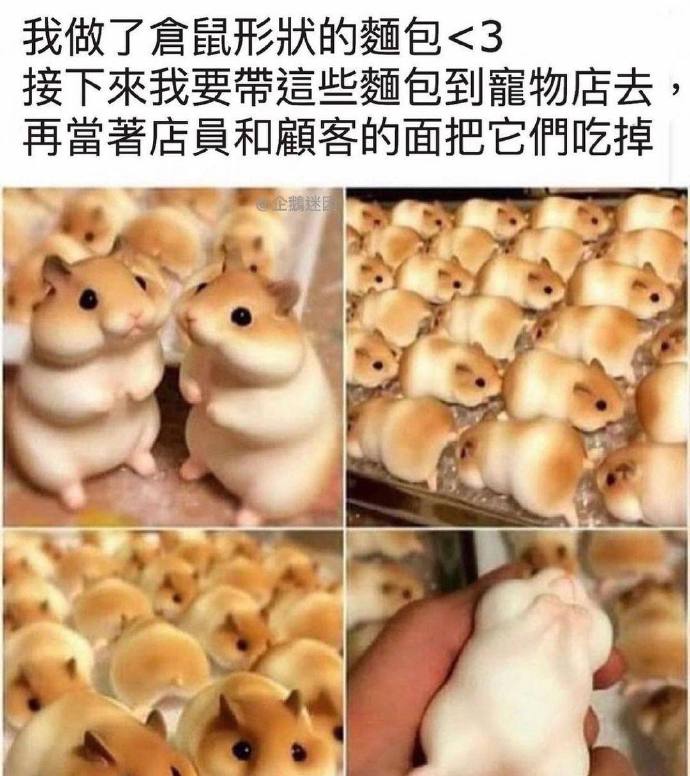 当着仓鼠的面吃掉才算可怕