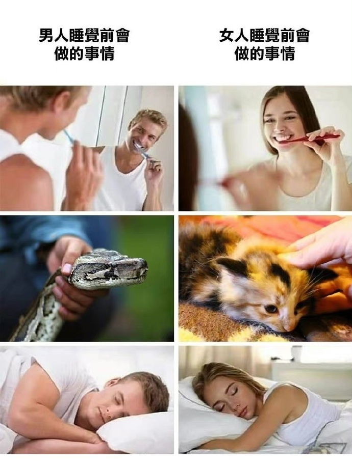 各位睡前都刷牙么