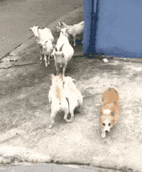 光看动作就知道，这一击可不是一两次而已