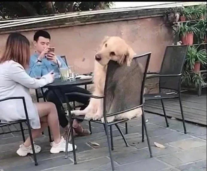 唉，这日子没法过了