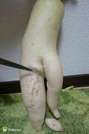 心情不好,你就可以爬上姑娘床摸姑娘,姑娘心情不好,能给你剪掉嘛