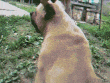 哈哈哈哈哈简直猝不及防啊！你已经失去你的宝宝了！！