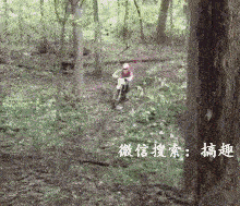 摩托车：妈蛋，老子忍你很久了！