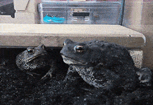 嗯，你竟然一个人吃了