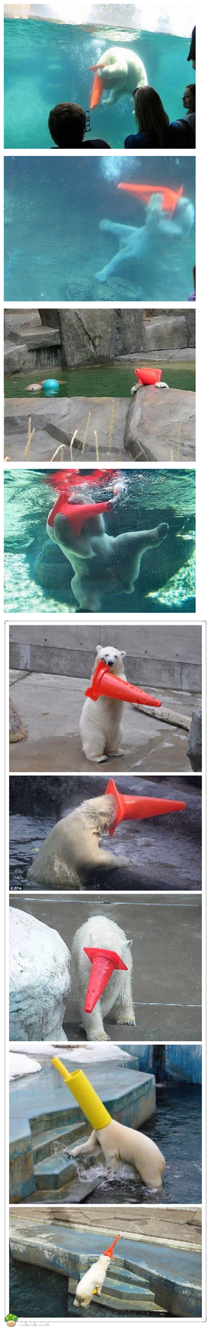 熊：是不是上帝在我眼前遮住了帘 忘了掀开？！