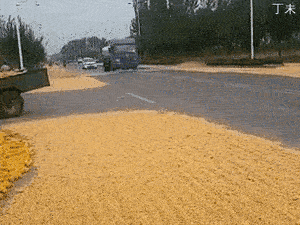 马路洒水和马路晒粮食，哪个更缺德？我有点迷茫了~