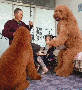 别看这俩只长这么大，但是坐姿还是很优雅的，看孩子也是一把好手！