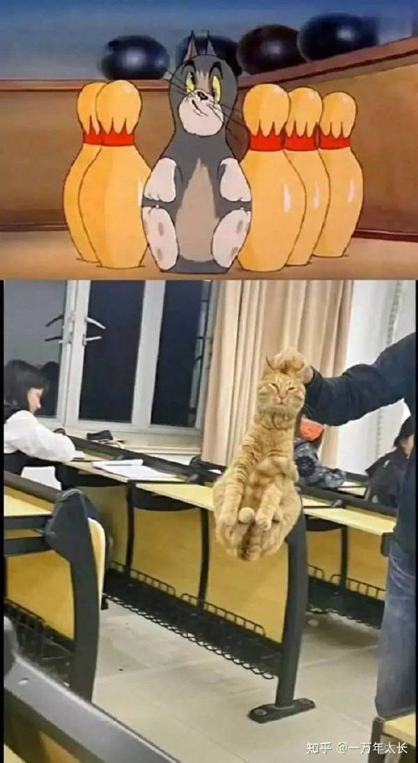 众所周知，猫和老鼠是纪录片