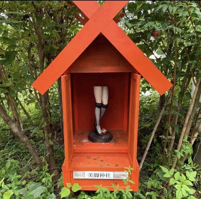 讲真，要是大半夜的就两个腿来看望我，我可能会被吓死