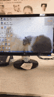 看着这样的屏保，强迫症都犯了！