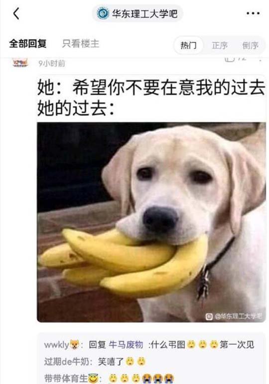 吐不出象牙