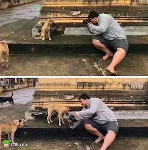 “你看看，拍滴可好？”