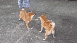 还是有点屁用的！