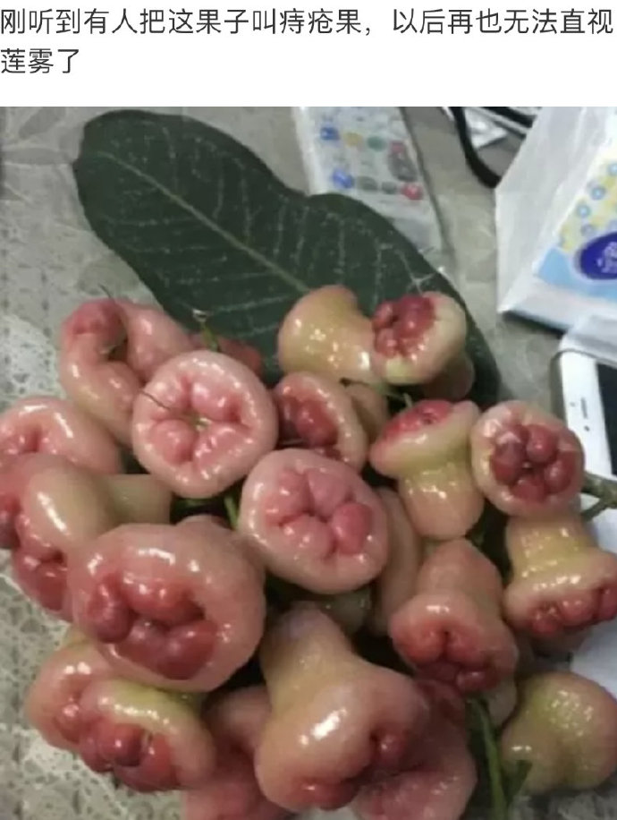 不叫痔疮果，天理难容啊
