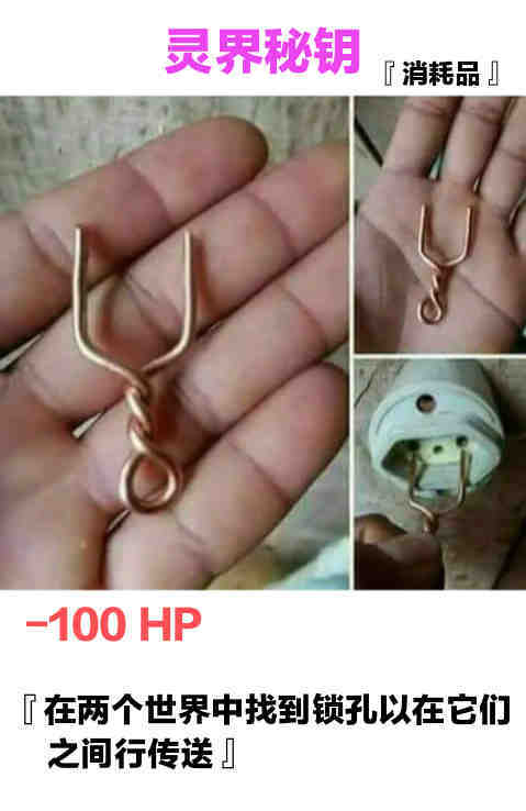 这个钥匙很珍贵啊