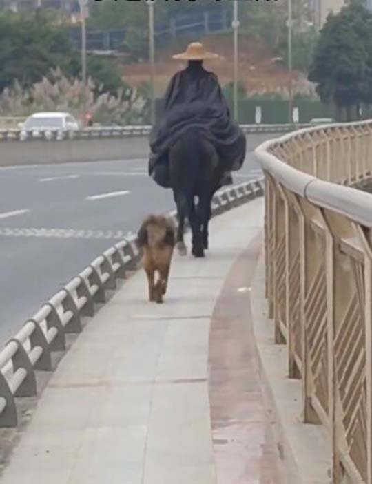 这个喝酒的话算酒驾吗