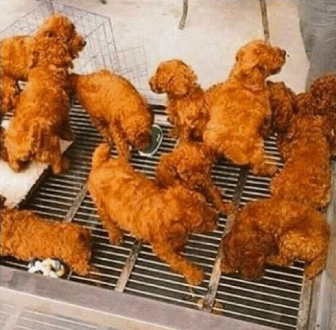 这鸡块炸的真不错