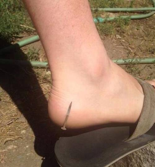 钉子兄舍不得我走啊