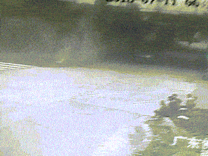 T字型路口发生的杯具