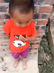 自己要的杨梅，含泪也要吃完