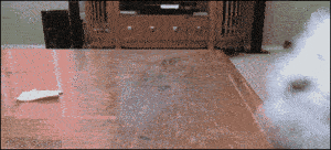 你经历过绝望吗?