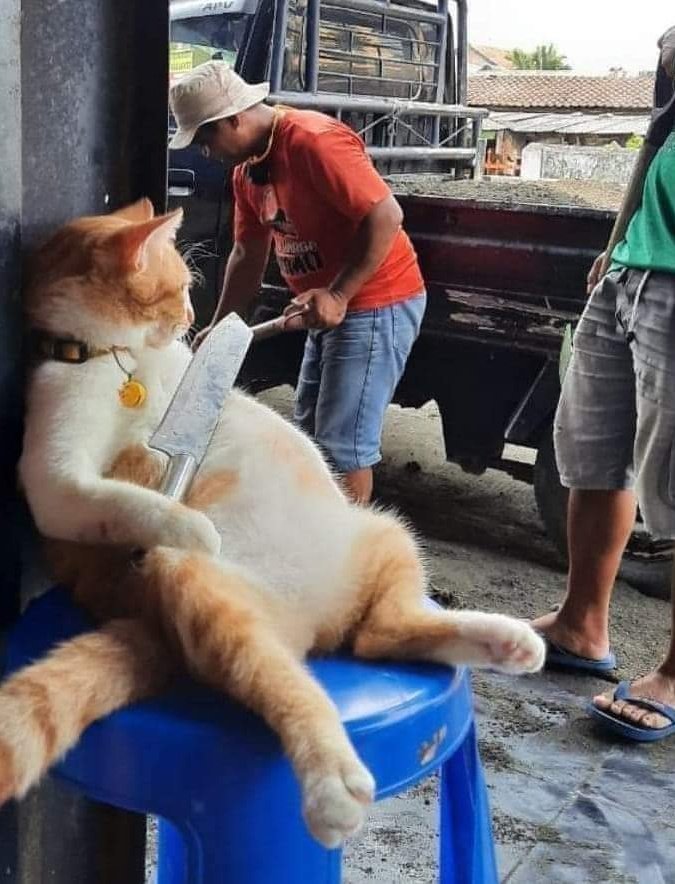 新来的督工有点让人害怕