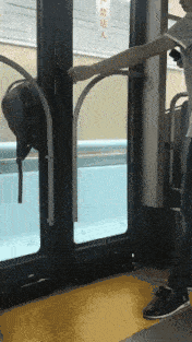 哥们你这是心真的很大啊，万一车开门的时候你包掉在夹缝里面的话，你怎么拿出来呢？