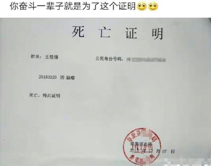 你奋斗了一辈子就是为了证明吗？