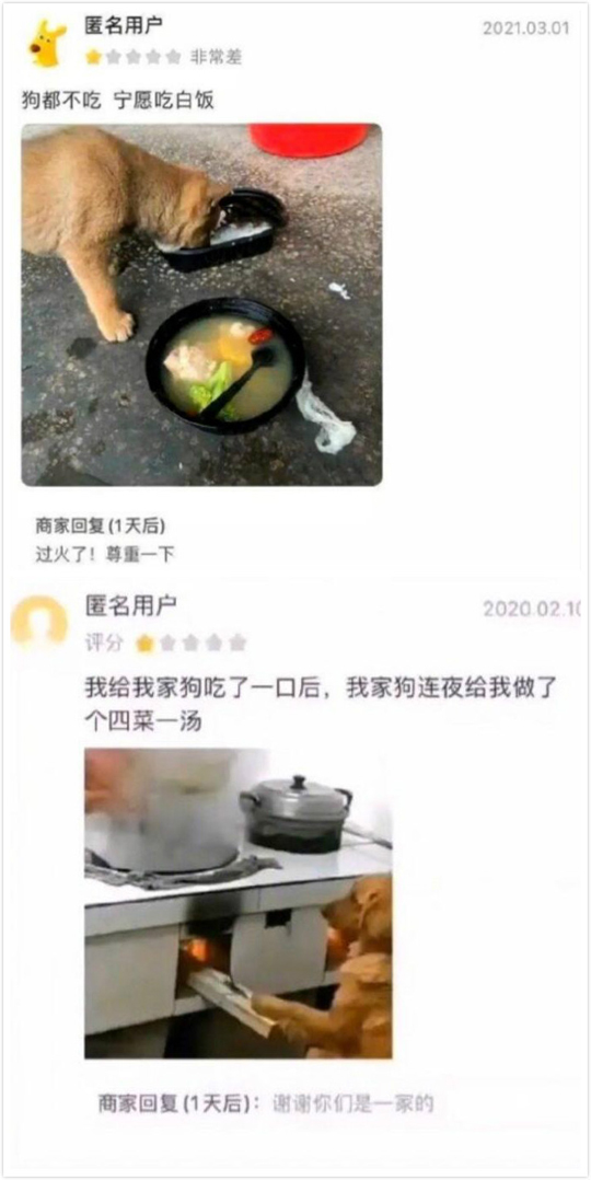 狗：终究是我背负了所有