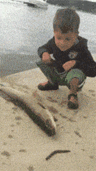 兵不厌诈,孩子还是太年轻了!