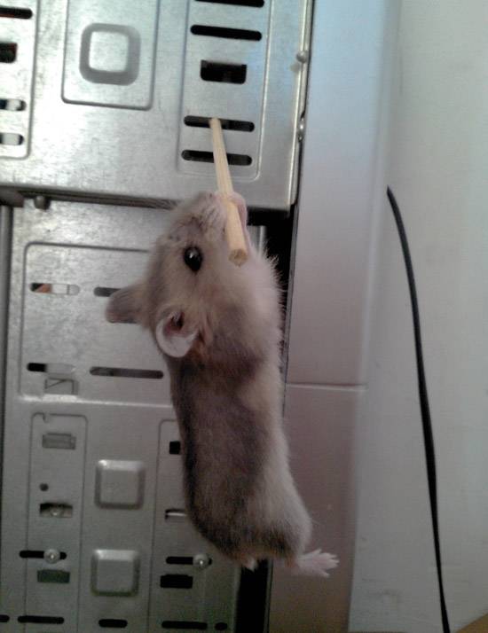 妈呀，谁来救救我