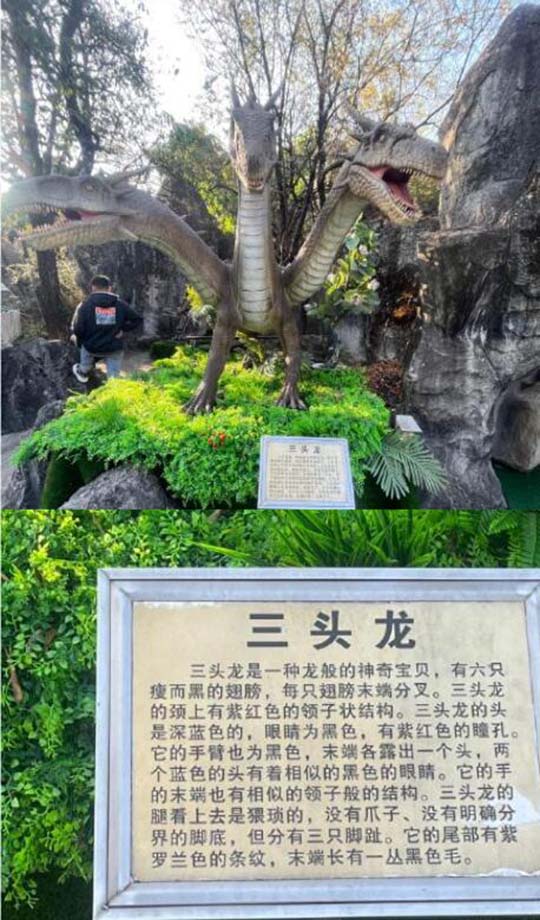 你的论文里复制的那一部分