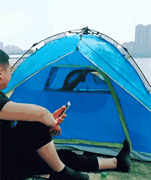 你还有闲心玩手机，真是禽兽不如