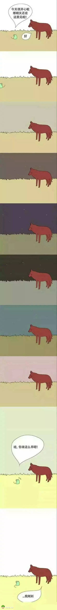 我一直一直，都很喜欢你