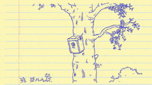 这下你们满足了吧。。。