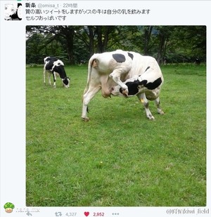 比自割腿肉更牛掰的是…………自取其乳！