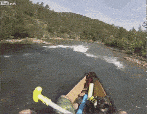 妙手回春，救我狗命。