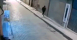 狗子：你看我一闪，倒霉的就是他了！