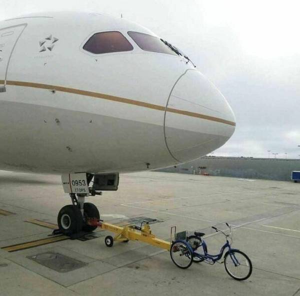 当你给简历添油加醋却得到了这份工作