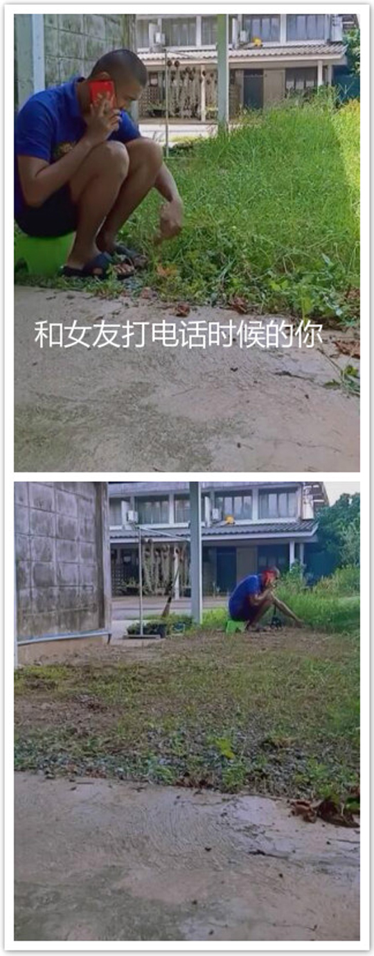 以后聊天去我家的田吧