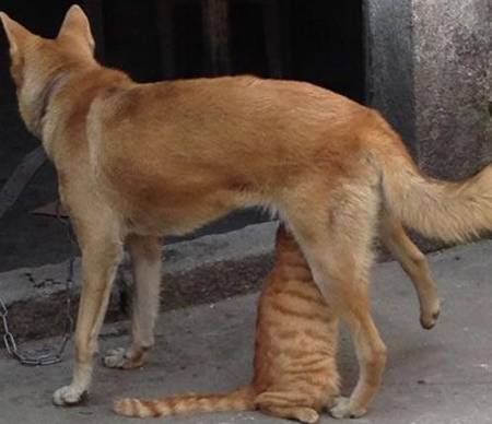 这俩货在做啥？