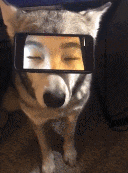 这个毫无违和感的眼神，我也是醉了