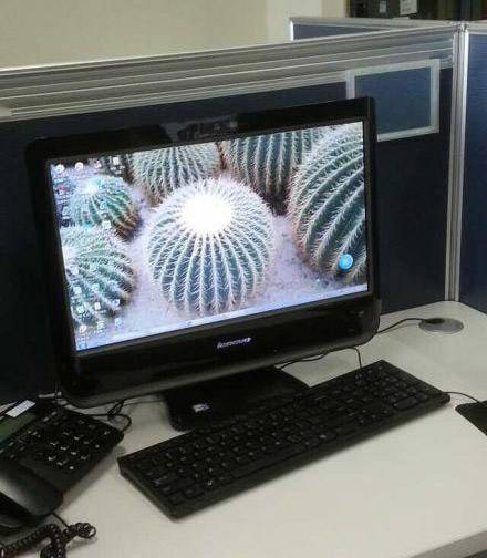 弄个仙人球桌面来防辐射