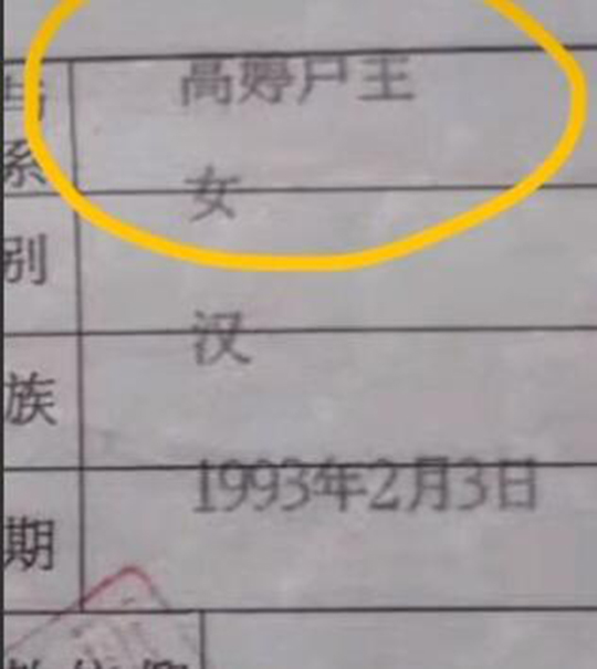 大粽子也能上户口了