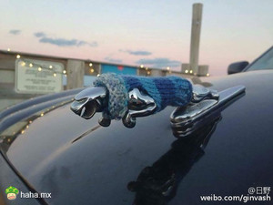 天冷了多穿衣！