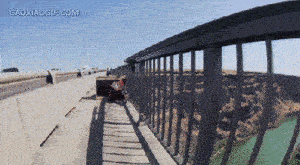 外国人作死,这下没得玩了