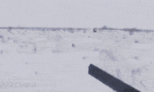 别开枪，我自己过来