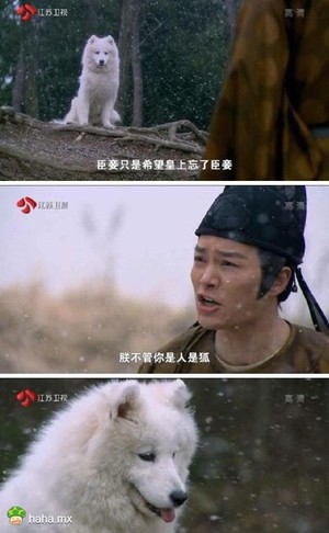 联真是日了狗了！