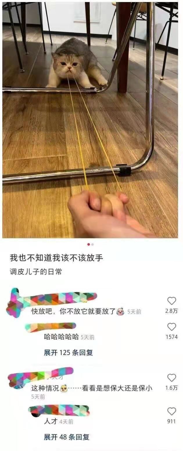 怎么办?